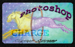 Charge Card, 12-21