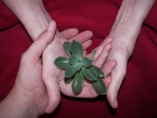 Life's New Beginnings, staff and client, courtesy chirolynx.com